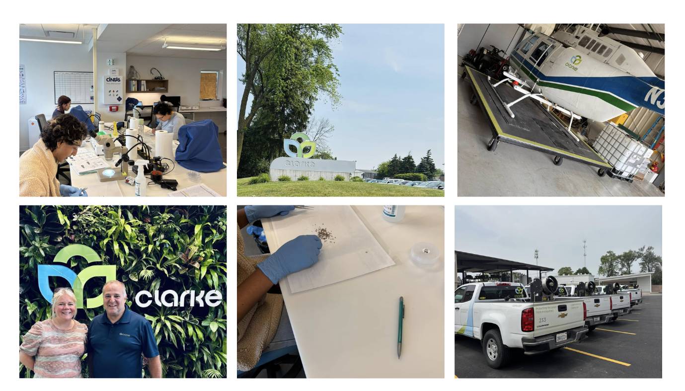 Mosquito Photos - Copy